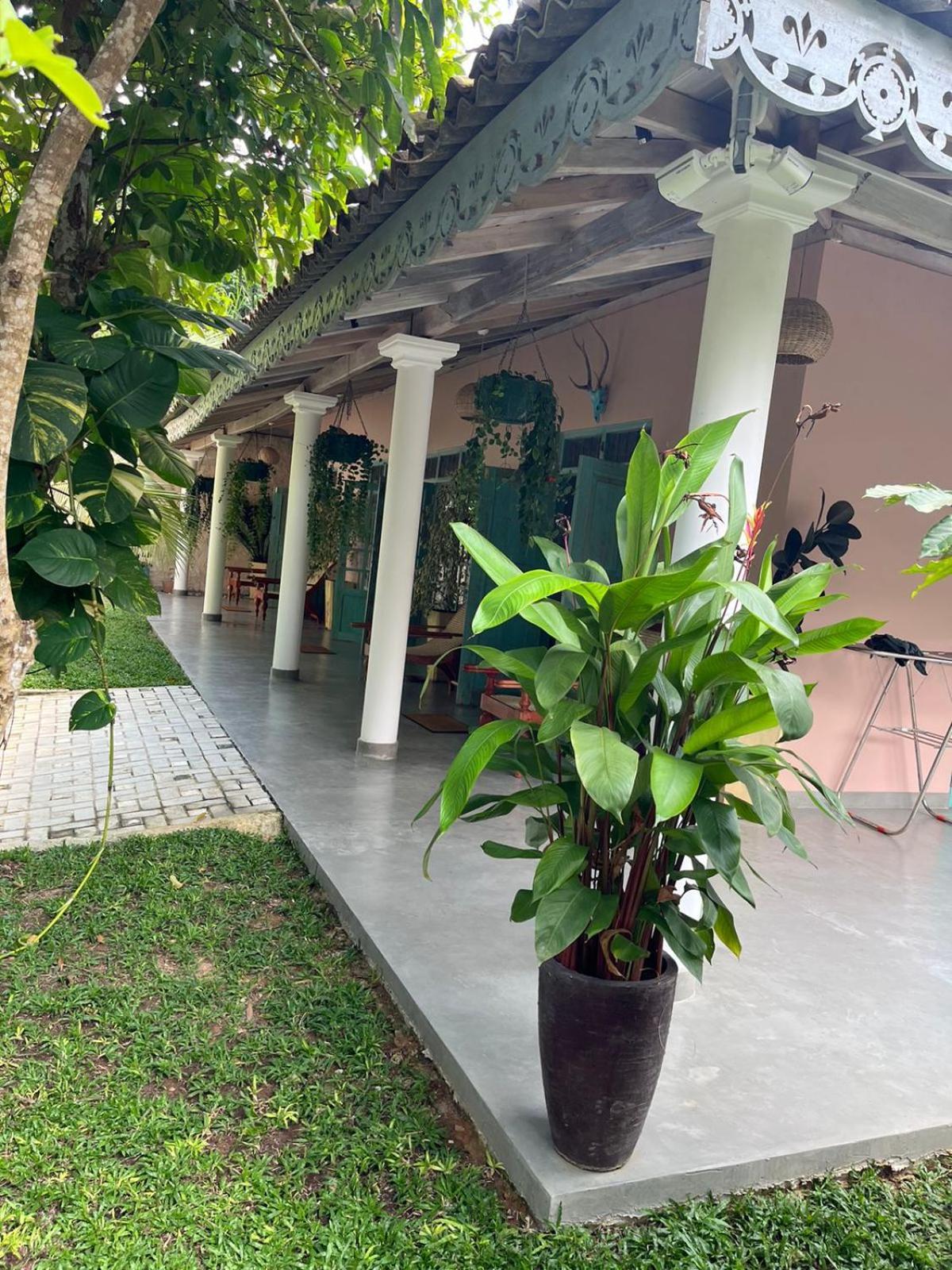 Villa Ronaya Surf Waves Dikwella Exterior foto